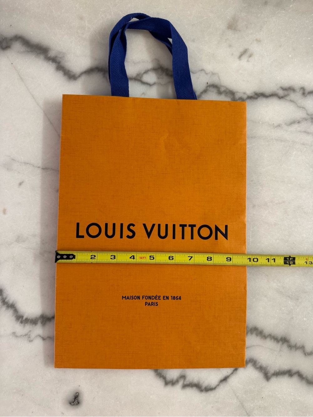 Louis Vuitton shopping bag